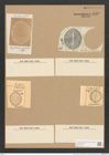 Diatomeae indet. (de-Toni-Nr.: Species 1810 var. ?) Zeichnungen Sammlung Grunow Nr. 3710 (NHMW-BOT-W0371342)